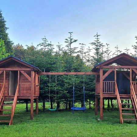 Roztoczanska Ostoja Apartment Adamow  Екстериор снимка